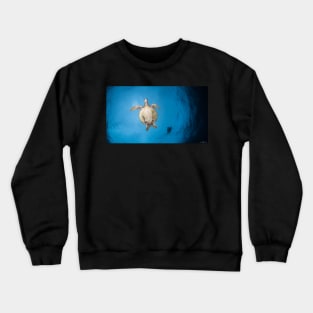 Turtles flight Crewneck Sweatshirt